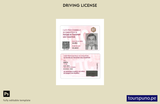 Plantilla de tarjeta de conductor profesional de Francia lista para imprimir